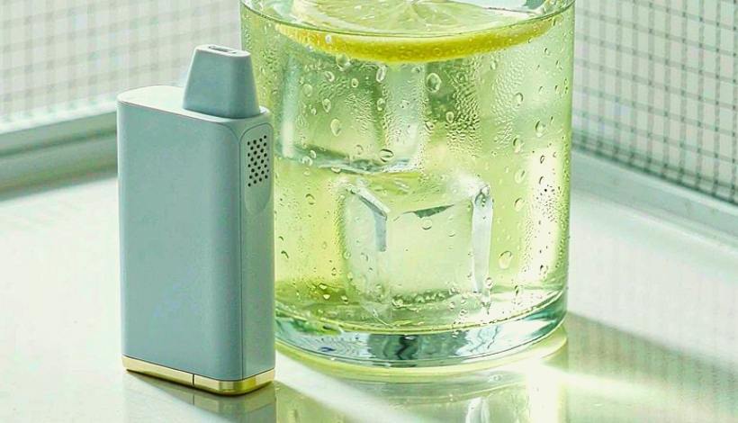 Bulk-Packed Kuwait Tobacco Vape: Range Mix for Wholesalers — Kuwait Tobacco Shop Tradition Tobacco Vape Bulk