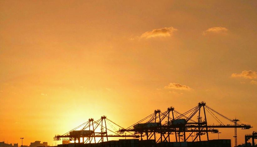 Certified Kuwait Tobacco Vape: First-Time Import Steps — Kuwait Tobacco Shop Tradition Tobacco Vape Bulk