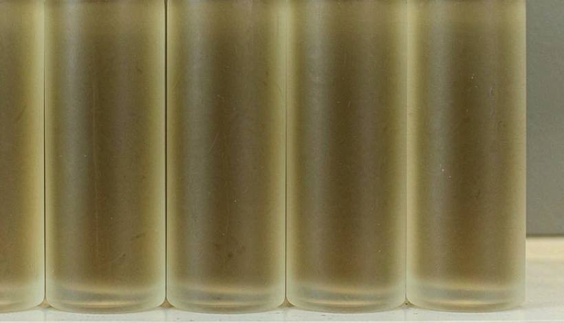 Fast-Moving Kuwait Tobacco Vape: Carton Sizes for Vape Shops — Kuwait Tobacco Shop Tradition Tobacco Vape Bulk