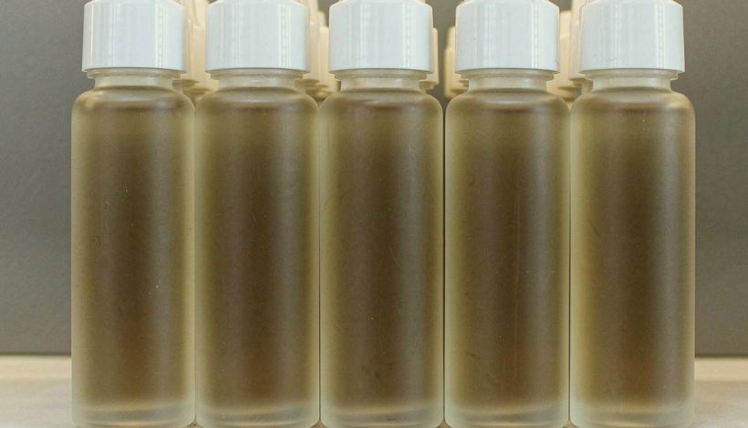 Inspection before Dispatch — Bulk Kuwait Tobacco Vape — Kuwait Tobacco Shop Tradition Tobacco Vape Bulk