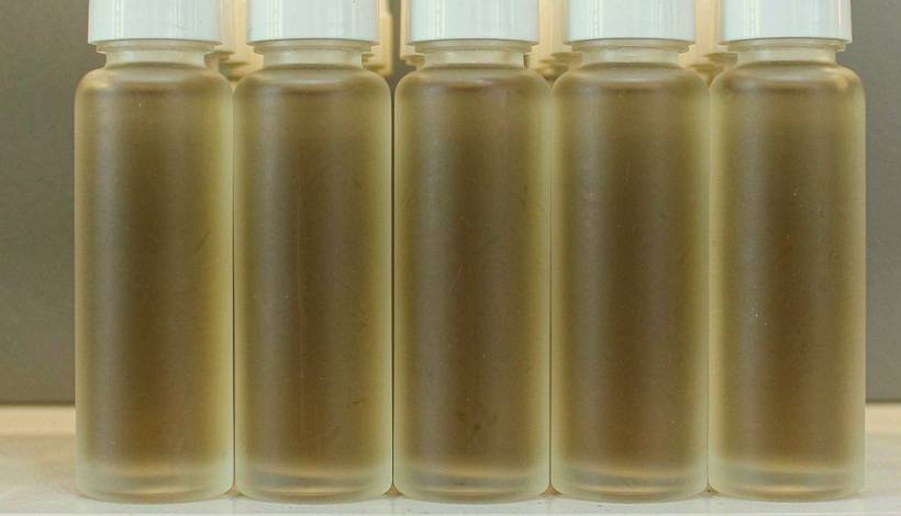 Kuwait Tobacco Vape for Export: Quality Checks for Importers — Kuwait Tobacco Shop Tradition Tobacco Vape Bulk
