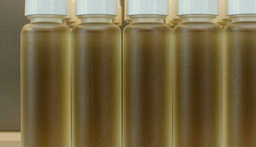 OEM and Private Label Options — OEM Kuwait Tobacco Vape — Kuwait Tobacco Shop Tradition Tobacco Vape Bulk