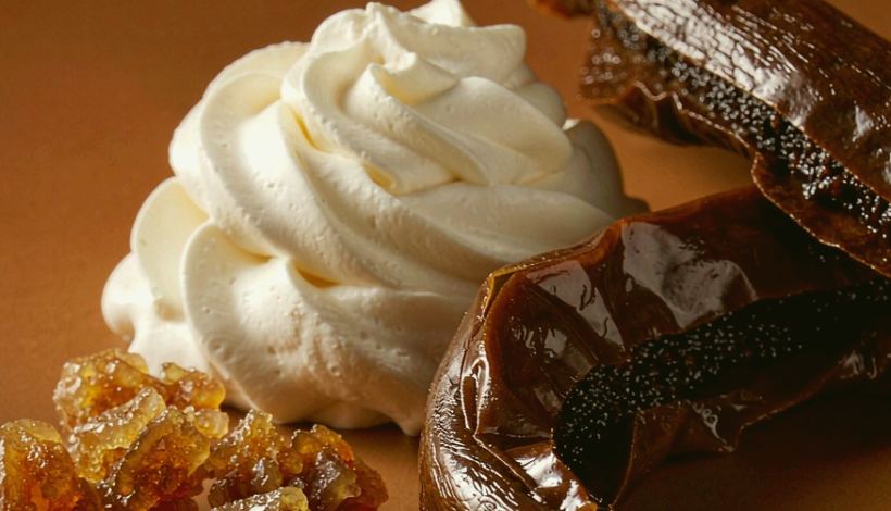 OEM Kuwait Tobacco Vape: Range Mix for Vape Shops — Kuwait Tobacco Shop Tradition Tobacco Vape Bulk